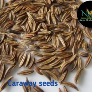 Jerra Shah Zira Caraway Seeds Carum Carvi Seed  (100 g)