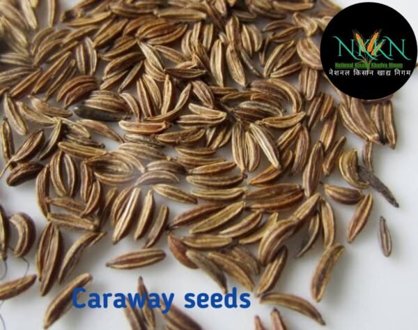 Jerra Shah Zira Caraway Seeds Carum Carvi Seed  (100 g)