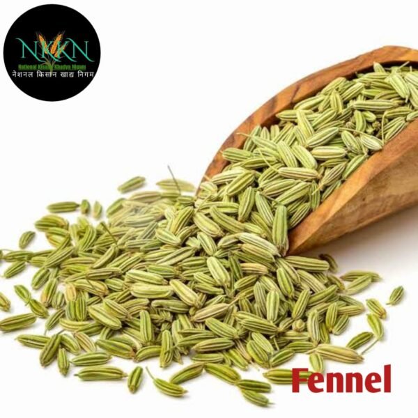 Fennel Seed (Saunf Moti Sonf Big)  (400)