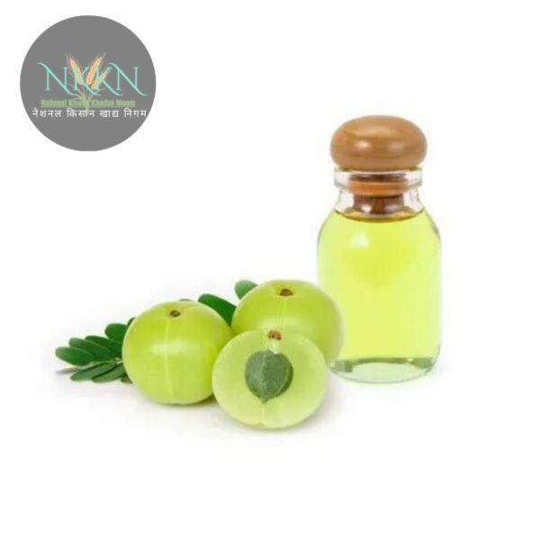 Amla for Long, Healthy & Strong Hair Oil  (550 ml)