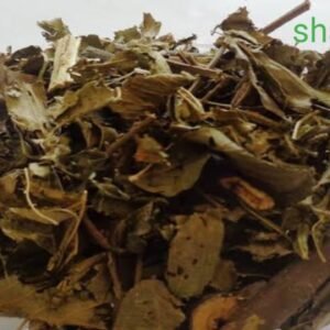 SHALAPARNI, DESMODIUM GANGETICUM Seed  (50 g)
