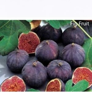 Figs Fresh 300 g
