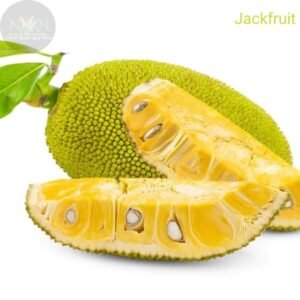Jackfruit Plant  (Hybrid, Pack of 1)
