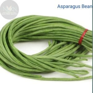 ibains Bean seed pack of 32 Seed  (32 per packet)