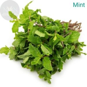 FRESHO Mint Seed  (120 per packet)