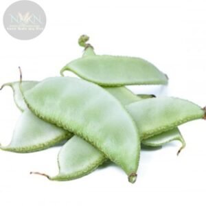 Beans Seed, 100% Organic Gardening Vegetable Seed,