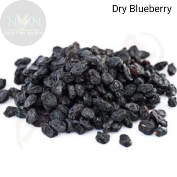 Premium Dried Californian Blueberry  (150 g)