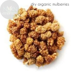 dry Orgainc mulberries
