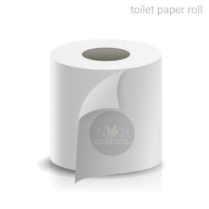 TOILET PAPER ROLL (Pack of 2 ) Toilet Paper Roll  (2 Ply, 100 Sheets)
