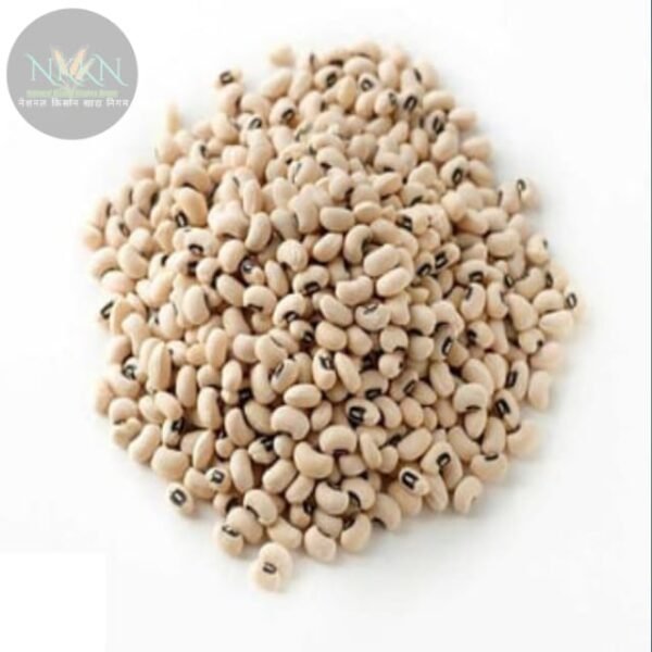NKKN Black Eyed Beans