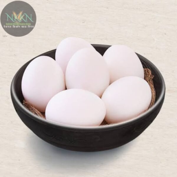NKKN  Hen White Eggs  (12 Units)