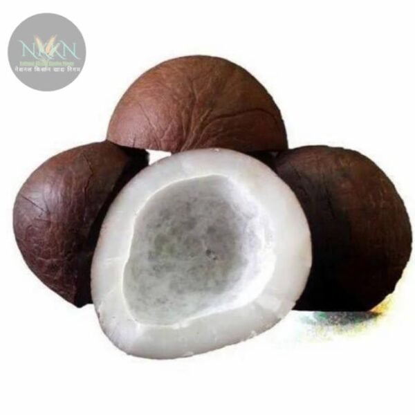 NKKN Dry Copra  Dried Coconut