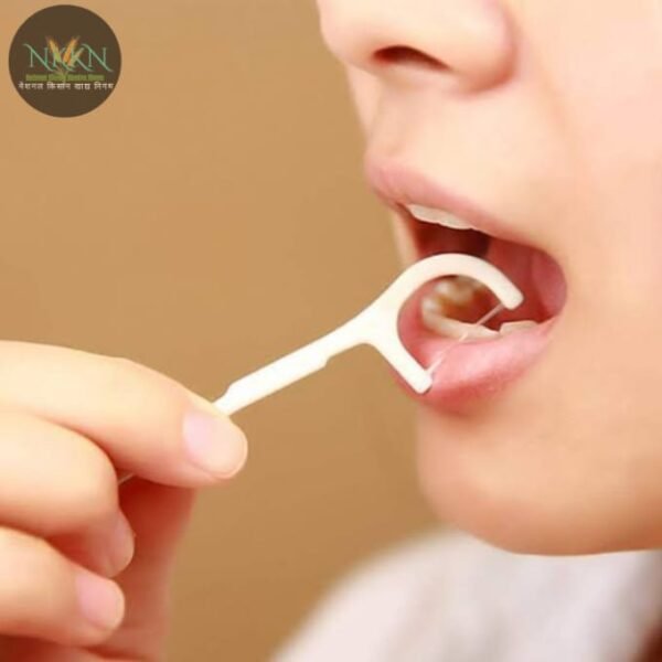 NKKN Dental Floss Picks