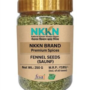 NKKN Premium Spices Fennel Seeds Saunf 250 g