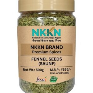 NKKN Premium Spices Fennel Seeds Saunf 500 g